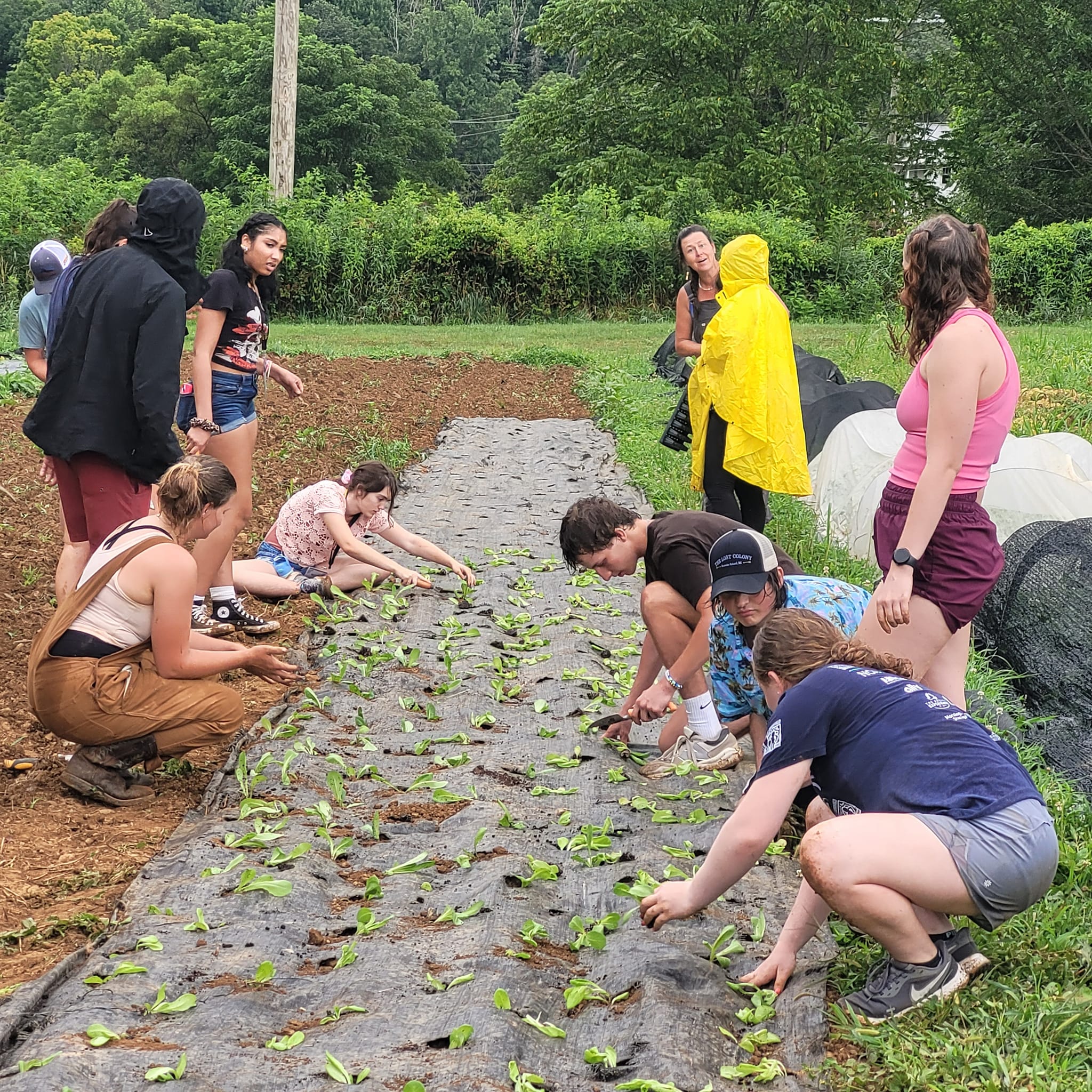 Trailhead team gardening at Springhouse Farms