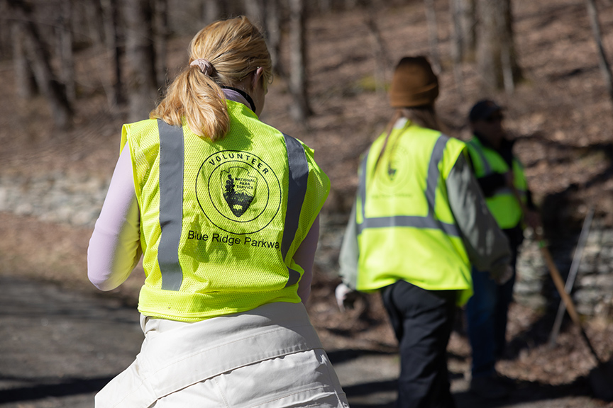 MLK Day of Service